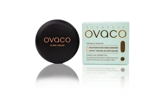 Restoration Mechanism