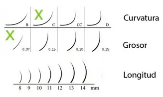 E.F. Curva C 0.07 8mm